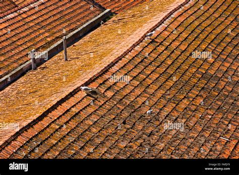 Vista aérea de los tejados de teja de naranja en el casco antiguo de