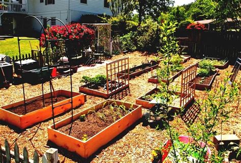 Best Vegetable Garden Layout Ideas and Designs | GARDENS NURSERY