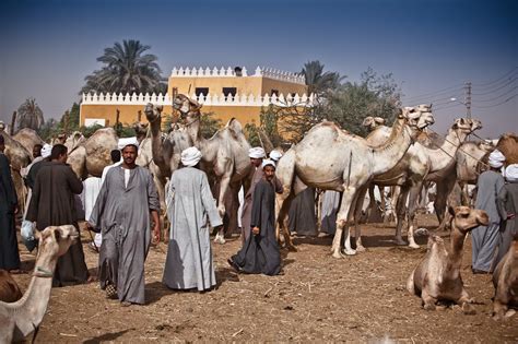 Egypt: Aswan, More Images | The Digital Trekker Blog & Photography