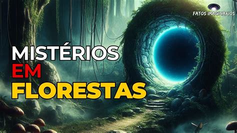 Mist Rios Inexplic Veis De Florestas Assombradas Ou N O Youtube