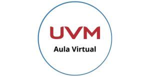 Plataforma Blackboard Uvm Online App Pc