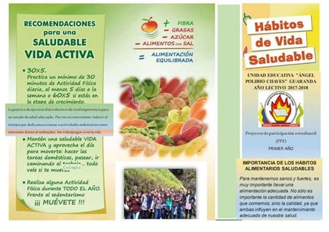 Triptico De NutriciÓn Saludable