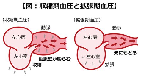 下の血圧は高いとよくない？そんなことはありません！ しぎょう循環器内科・内科・皮膚科・アレルギー科