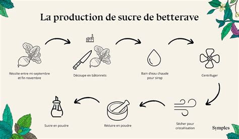 Le Sucre De Betterave Un Produit Naturel Local