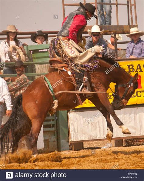 Cowboy Saddle Bronc Riding During The Rodeo Event Bruneau Idaho Usa