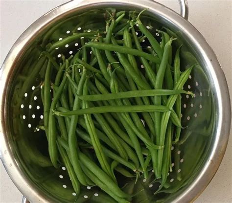 Temps De Cuisson Des Haricots Verts En Cocotte Minute Le Guide