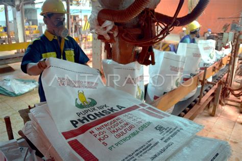 Penyaluran Pupuk Bersubsidi Antara Foto