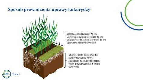 Rolnictwo regeneratywne na świecie Iowa