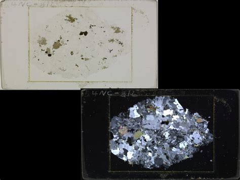 New Library Digital Collection: Thin Sections | University of Nevada, Reno