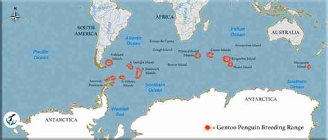 Gentoo Penguin range map | Penguins International