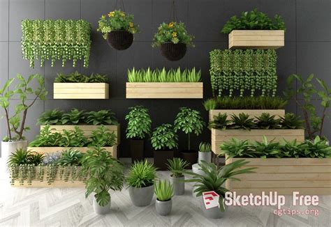 Indoor Plants 3d Warehouse Sketchup