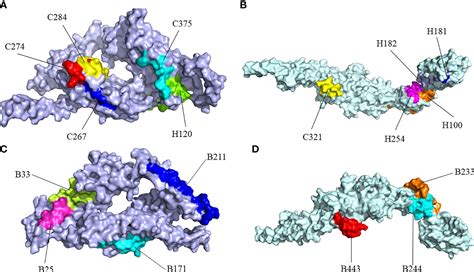 Frontiers Corrigendum Immunoinformatics Approach Toward The