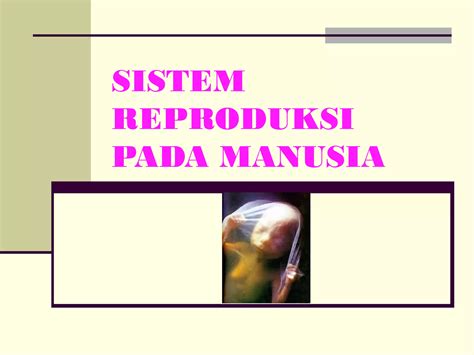 Sistem Reproduksi Pada Manusia Ppt