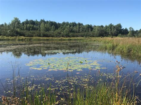 Hidden Pond — Freeport Conservation Trust