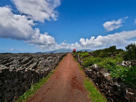 Balade Au Milieu Des Vignoble Pico Paul LBS Flickr