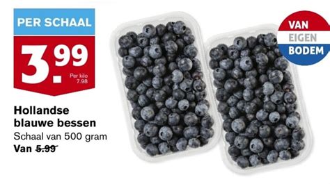 Hollandse Blauwe Bessen Schaal Van Gram Aanbieding Bij Hoogvliet