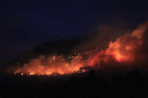 Arde Zona Forestal Pico De Orizaba Registra El Peor Incendio De La