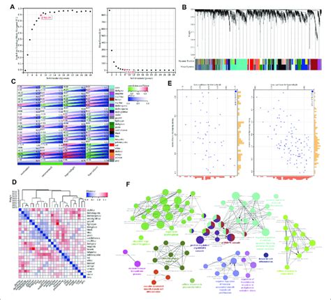 Construction Of The Gene Coexpression Network By Wgcna A