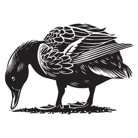 American Black Duck Silhouette, Black Duck Clipart, American black duck