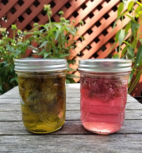 Chive Blossom Oil and Vinegar — The Wine Box Gardener