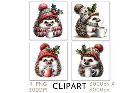 Christmas Hedgehog Clipart Graphic By Watercolour Lilley Creative Fabrica