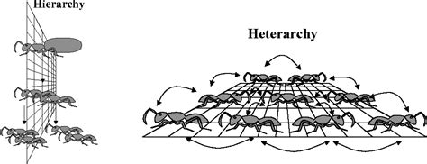 Dense heterarchy | Semantic Scholar