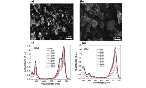 (a) and (b) SEM images Characterization of ZnO nanoparticles and (c ... 