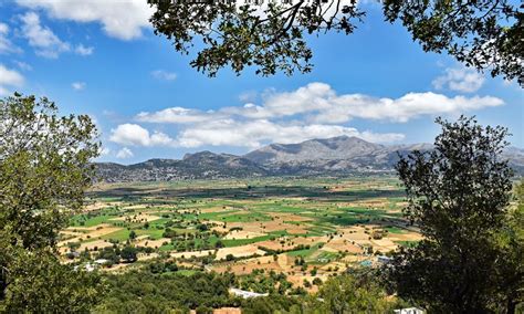 Plateau De Lasithi Grotte De Zeus Et Palais De Knossos GetYourGuide