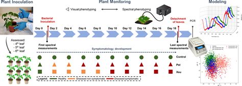 Frontiers Enhancing Host Pathogen Phenotyping Dynamics Early