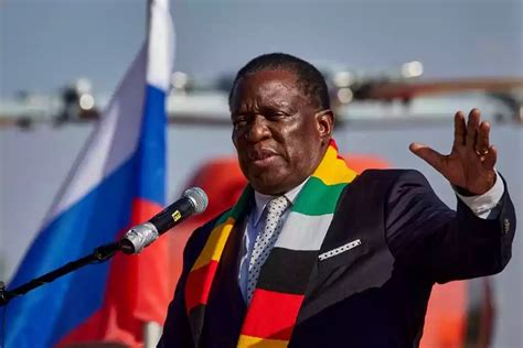 NGOs sweat over registration hurdles - Zimbabwe Situation