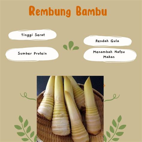 Pusat Budidaya Herbal Rebung Bambu Betung Tambak Bayumas Banyak Manfaat