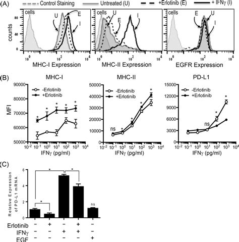 Egfr Inhibitor Differentially Modulates The Expression Of Antigen