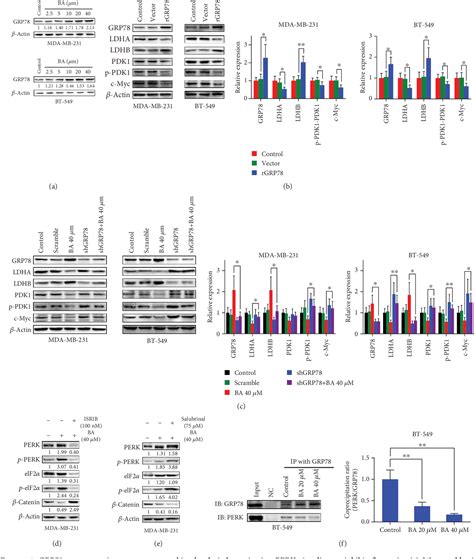 Figure From Betulinic Acid Suppresses Breast Cancer Metastasis By