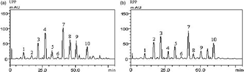 HPLC Chromatograms Of UPP And RPP Peaks 1 10 Represent Gallic Acid