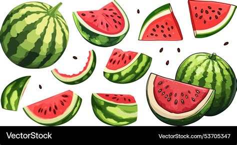 Watermelon Set Triangular Slices Full Fruit Vector Image