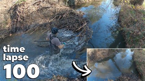 Beaver Dam Removal No 100 Time Lapse Version YouTube