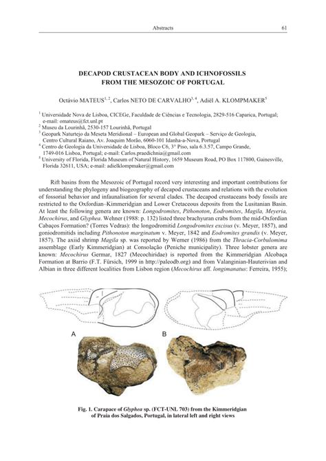 PDF Decapod Crustacean Body And Ichnofossils From The Mesozoic Of