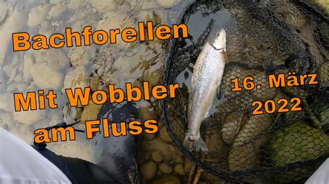 Bachforelle Er Ffnung M Rz Mit Wobbler Am Fluss Youtube