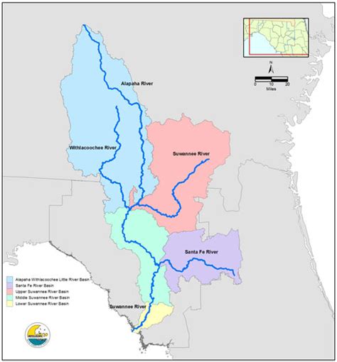 Middle Suwannee River & Springs Minimum Flows & Levels | Suwannee River ...