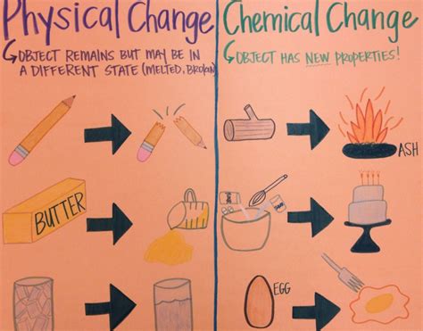 Mr Villas 7th Gd Science Class Understanding The Difference Between