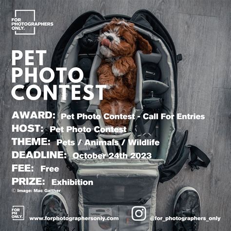 Pet Photo Contest