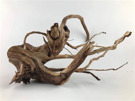 21 Manzanita Base With Roots For Aquariums And Terrariums