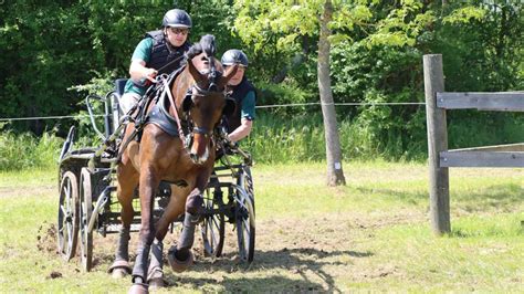 Pferdesport Hohe Eichen G Rtringen Start In Turniersaison H Tte F R