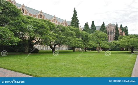 The Quad at University of Washington Stock Image - Image of park, hall ...