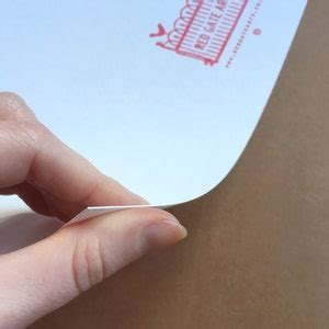 Sunbathing Nude Lady Art Print Painting Tropical Garden With Botanical Plants Wall Art Funny