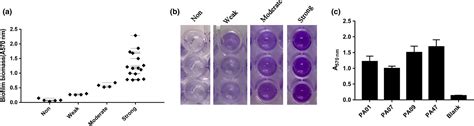 Efficacy Of Levofloxacin Against Biofilms Of Pseudomonas Aeruginosa