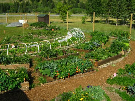 Canmore Community Garden | Canmore Community Gardening Society