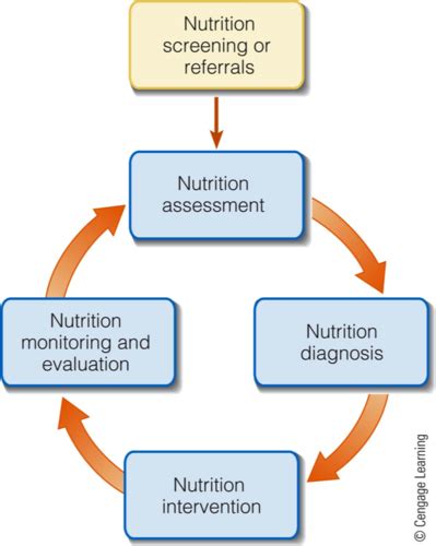 Nutrition Quiz Intervention And Assessment Flashcards Quizlet