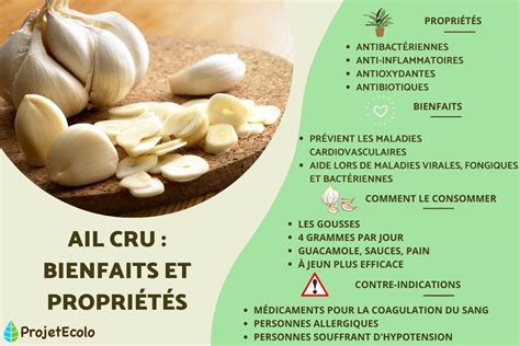 BIENFAITS DE L AIL CRU Guide Complet