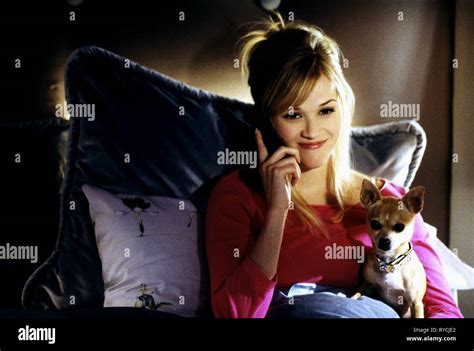 Legally Blonde Reese Witherspoon High Resolution Stock Photography And Images Alamy